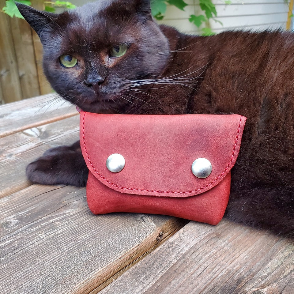 Red coin case