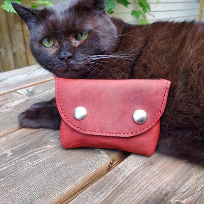 Red coin case